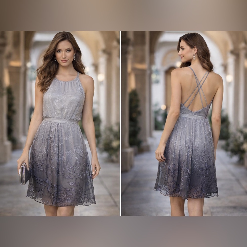 NWT Walter Baker Blue Floral Burnout Ombre Silk Blend Dress 6 $248 size 6